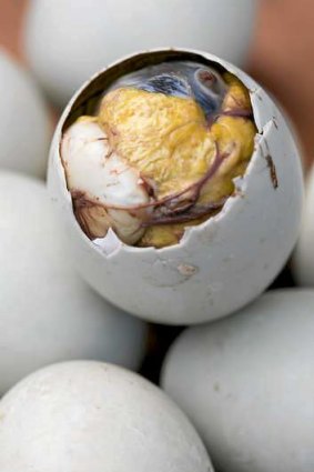 Balut, a local delicacy of duck foetus boiled inside the egg shell.