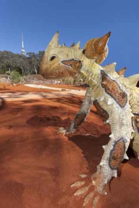 Thorny Devil, Australian National Botanic Gardens
