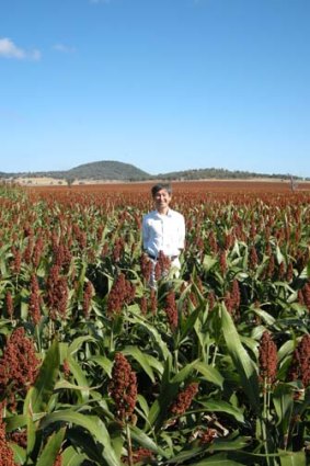 An expert in his field &#8230; Dr Koji Maeda from Hakubaku Agri Pty Ltd stands on farm land.