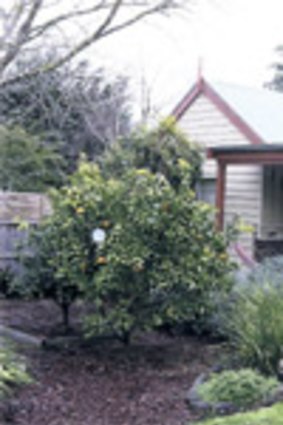 Little things ... one of two cottages, Wattlebird is light and roomy.
