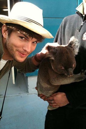 Ashton Kutcher meets a koala at Sydney Wildlife World.