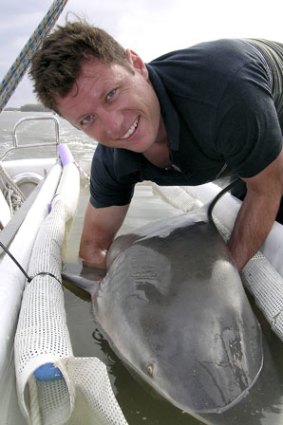 Shark researcher Dr Jonathan Werry from Griffith University with a bull shark.