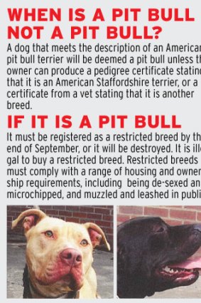 When is a pit bull not a pit bull?
