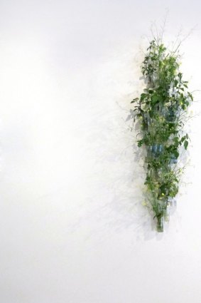 It's wild: Weed cluster by Lauren Berkowitz.