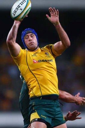 Stand-in Wallabies captain Nathan Sharpe has a crucial role to play in the line-out.