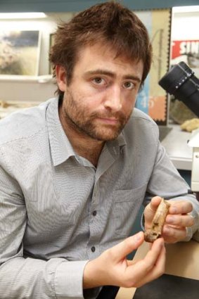Dr Erich Fitzgerald with the five million-year-old bone of giant bony-toothed bird Pelagornis.
