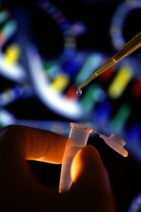 The Federal Court has been asked to decide if patents granted over segments of human DNA are valid.