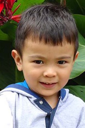 Near school gates: Kevin Quintal, 5, was killed when he was struck by a car on the way to kindergarten.