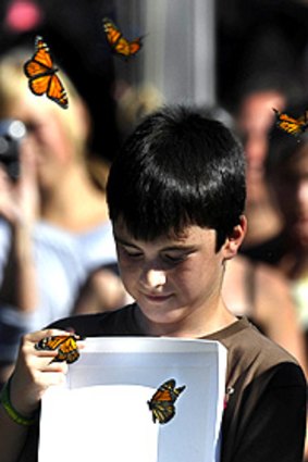 Dylan, a Middle Kinglake Primary School student, releases butterflies at a ceremony yesterday.