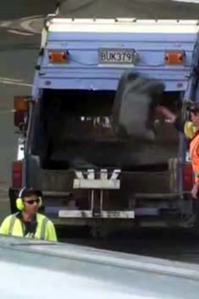 The video shows baggage handlers at Christchurch Airport throwing luggage into a garbage truck.