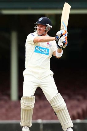 He doesn't have the Blues ... Brad Haddin is having a great summer with the bat for NSW.