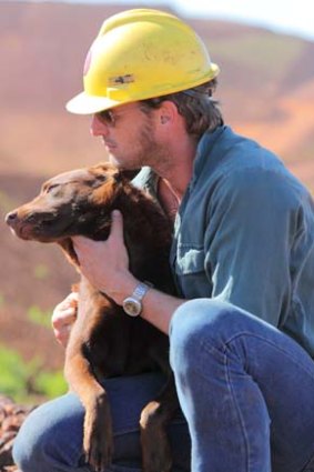 Animal magnetism ... Josh Lucas and Koko in the Australian film <i>Red Dog</i>, which was shot in the Pilbara region with the backing of Rio Tinto and Woodside.