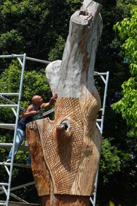 A cut above the rest . . . Vic Simms carves Aboriginal patterns into the tree.