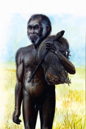 An artist's impression of Homo floresiensis, popularly known as hobbits.