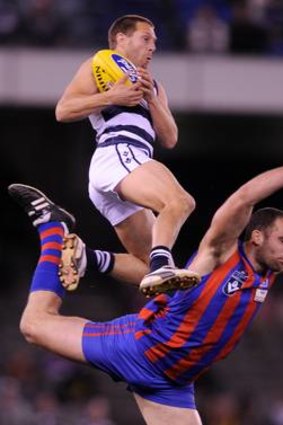 High flying: Geelong's David Wojcinski soars over Adrian Bonaddio.