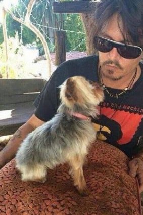 Johnny Depp with one of his dogs.