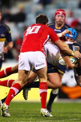 Fotu Auelua of the Brumbies feel the full grunt of the Wales defence.