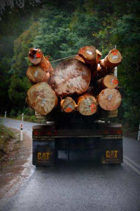 Native timber is taken from a logging coupe in central Tasmania.