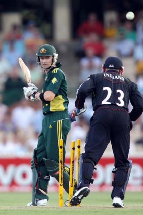 Michael Clarke looks at the wickets after he was clean bowled by Paul Collingwood.
