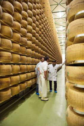 Parmesan cheese in storage.