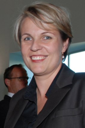 Tanya Plibersek plans to take a short time off work after the birth of her third child.