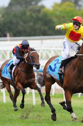 High speed: Lankan Rupee, ridden by Craig Newitt, cruises to the line in the Oakleigh Plate.