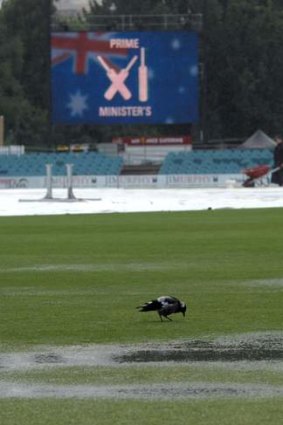 Only the magpies enjoyed last year's Prime Minister's XI.