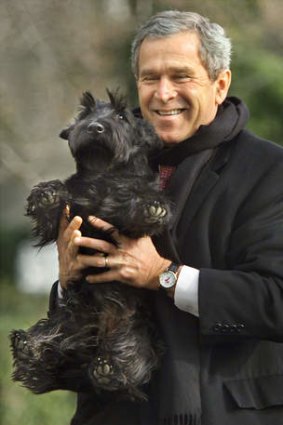 The terrier's in town &#8230; president George Bush hoists his dog Barney, a black Scottish terrier, as he walks across the South Lawn of the White House.