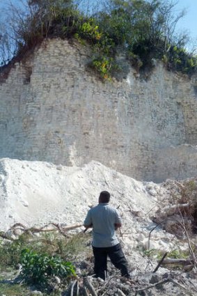Jaime Awe, head of the Belize Institute of Archaeology, looks at the damaged sloping sides of the Nohmul complex, one of Belize's largest Mayan pyramids.