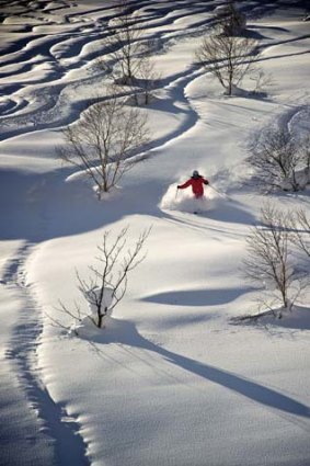 No. 1 destination for Australian skiers in Japan ... Niseko.