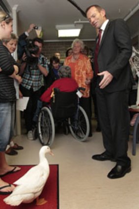 Fine-feathered friend ... Tony Abbott encounters Quacksie at a nursing home in Gerringong yesterday.