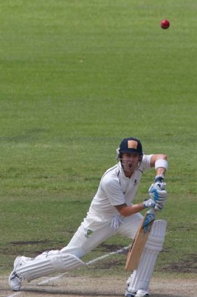 Clear skies ahead: Test skipper Michael Clarke batting at Sydney's Pratten Park.