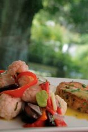 A tasting plate of grilled salmon with salad.