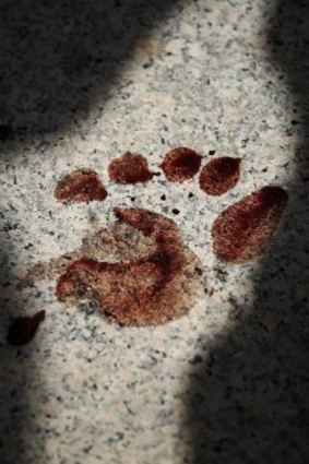 A bloody footprint at the site of the Democracy Monument attack in Bangkok on Thursday. 