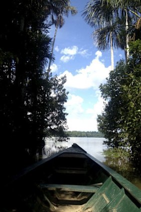 A trip in the Peruvian rainforest can end in illness and tragedy.