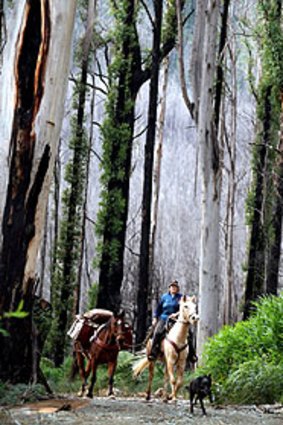 Jo-Anne Kasch with her horses on the Bicentennial National Trail near Marysville.