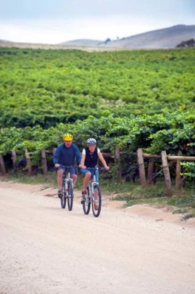 Steeped in history ... riding on the riesling trail in the Clare Valley.