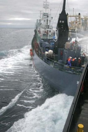 Close encounter ... Sea Shepherd's Steve Irwin collides with Yushin Maru No.2.
