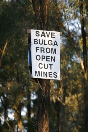 Message on a tree: A protest poster.