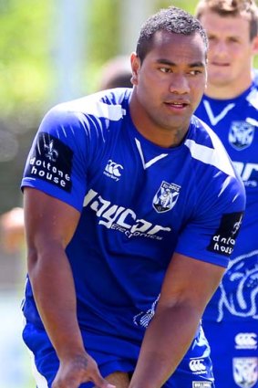 Off the leash: Canterbury recruit Tony Williams says "I'm looking for a big year for myself - and the club".