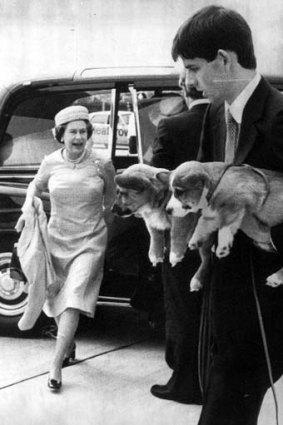 My corgis and I ... royal puppies are delivered to Heathrow Airport to accompany the Queen to Balmoral.