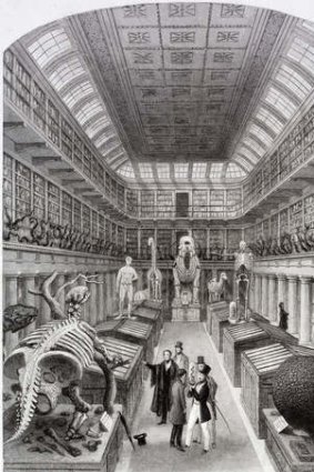 A 19th-century engraving of the Hunterian Museum.