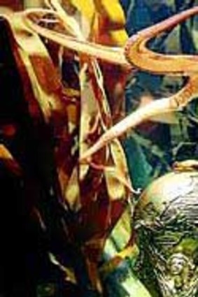 Madrid's Zoo Aquarium wants Paul the celebrity "psychic" octopus and his replica World Cup to join the original item in Spain. <i>Picture: AFP</i>