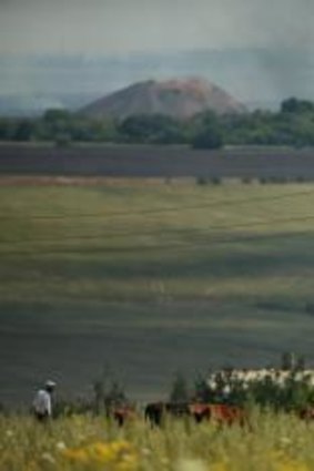 A man herds his cattle on high ground in Kirovsky overlooking the MH17 crash site where Ukrainian forces and Pro-Russian rebel fighters engage in at least seven different battles.  