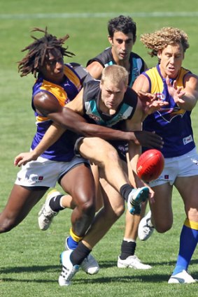 Squeezed: Port’s Kane Cornes gets a kick away, under pressure from Eagles Nic Naitanui (left) and Matt Priddis.