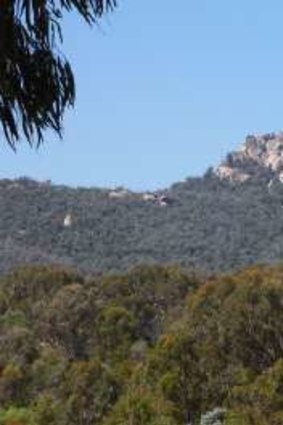 Gibraltar Peak viewed from Tidbinbilla Valley floor – a maze of rocks