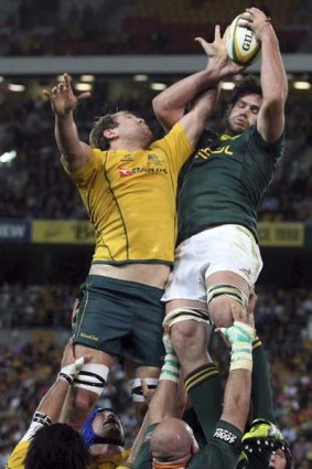 Lineout battle . . . Wallabies skipper Rocy Elsom and Springboks opponent Danie Rossouw last weekend.