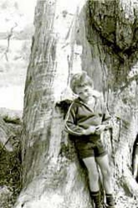 Sean, Kelly and John Woodland playing in the Braidwood fairy tree in 1977.