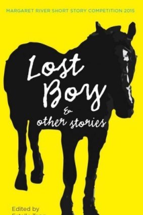 Lost Boy and Other Stories edited by Estelle Tang.