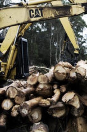 Logging on: Gunns' softwood sawmills are working ahead of their sale.